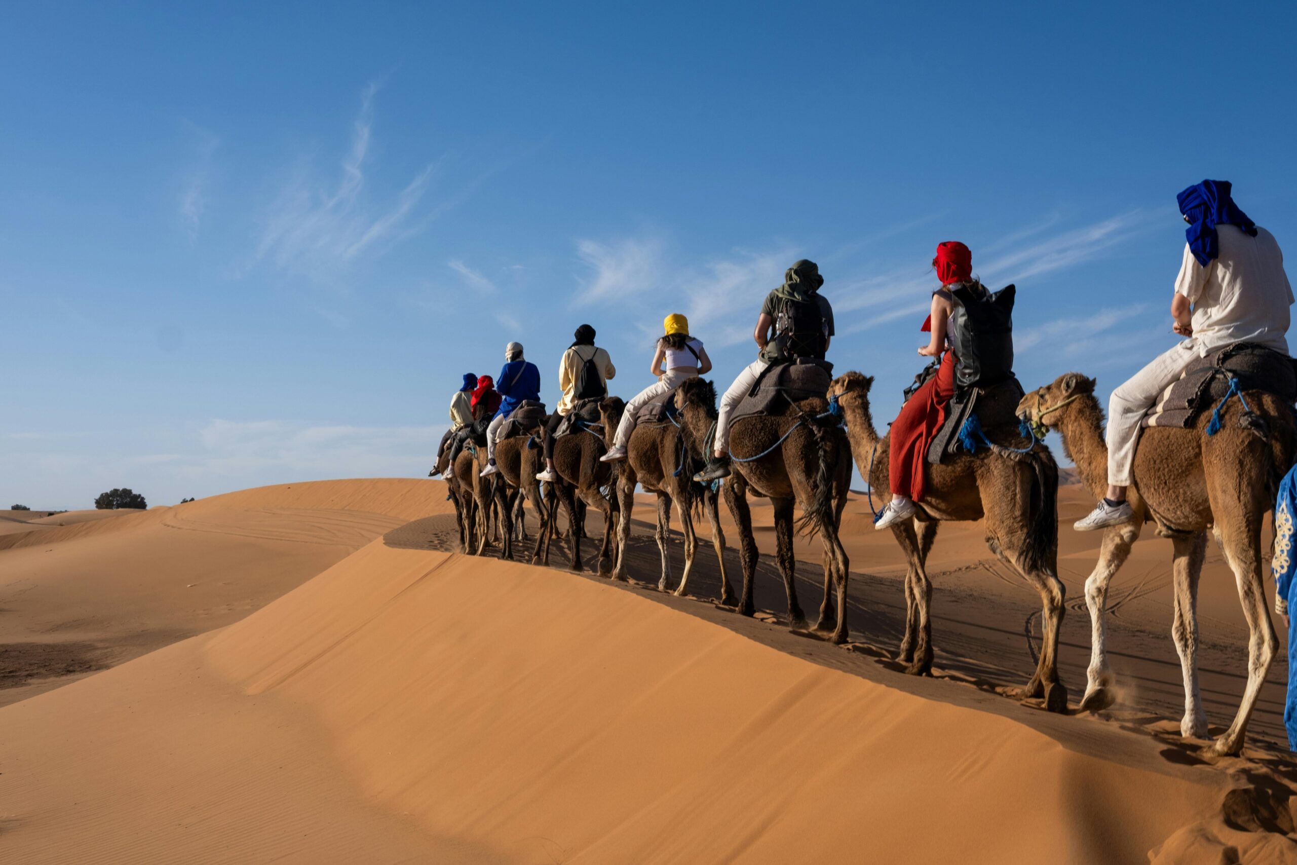 Sahara Desert camel trek