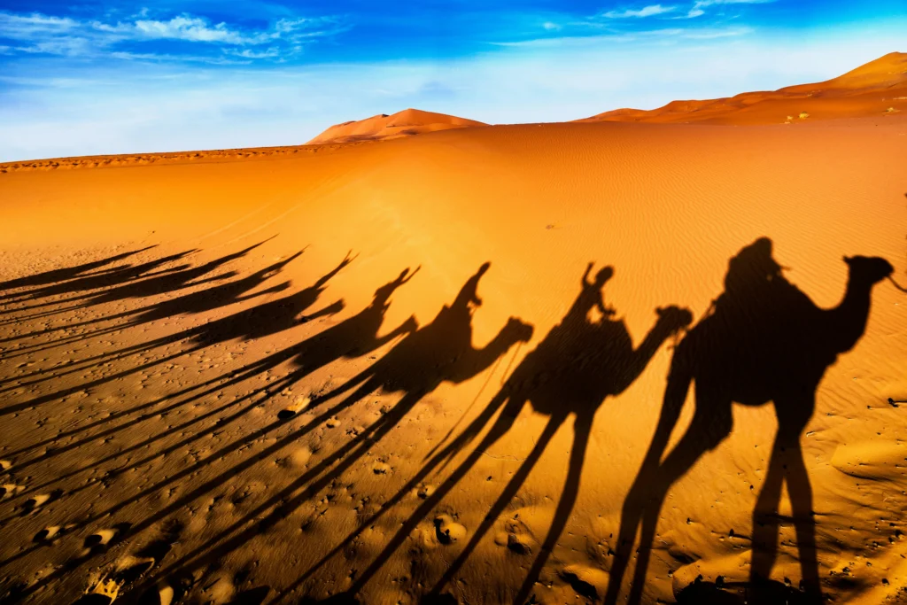Discover the Ideal Time to Explore the Sahara Desert
